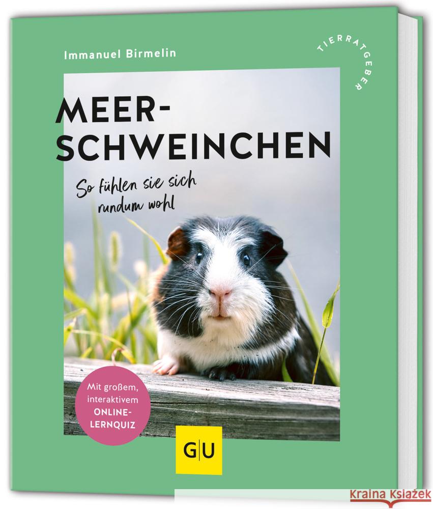 Meerschweinchen Birmelin, Immanuel 9783833897351 Gräfe & Unzer - książka
