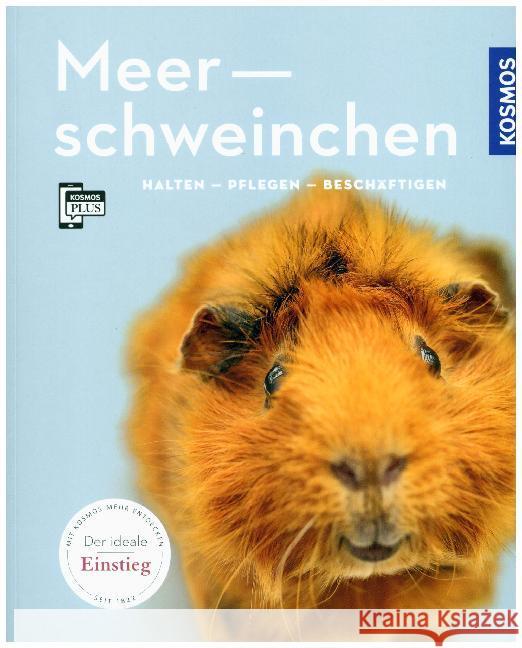 Meerschweinchen : Halten - Pflegen - Beschäftigen. Mit KOSMOS-PLUS-App Beck, Angela 9783440157541 Kosmos (Franckh-Kosmos) - książka