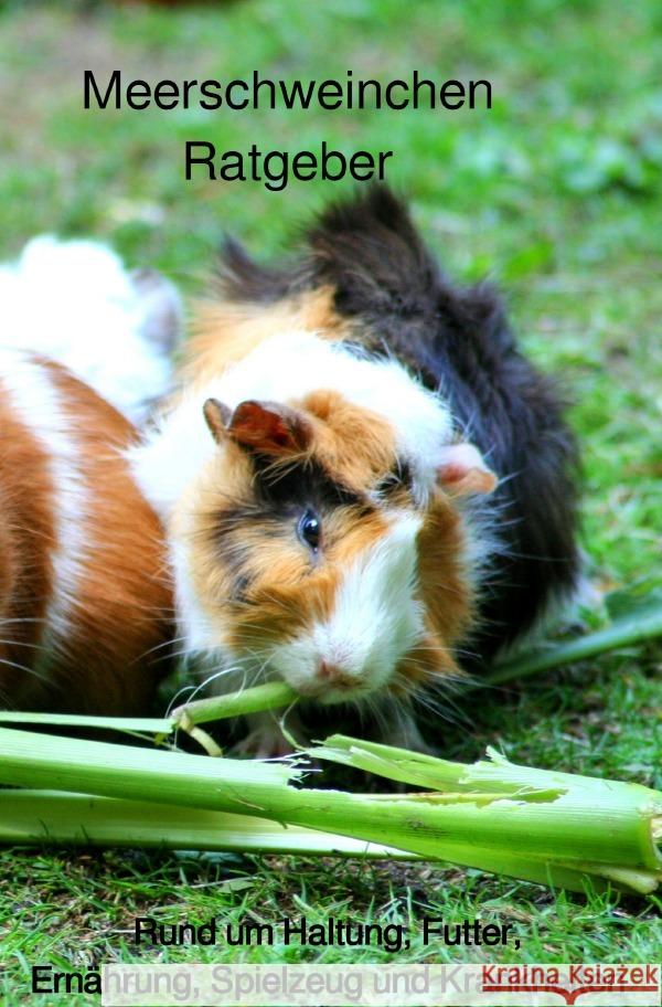 Meerschweinchen Ratgeber. : Rund um Haltung, Futter, Ernährung, Spielzeug und Krankheiten check, Powerlifting 9783750293007 epubli - książka
