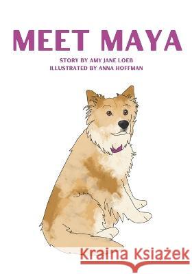Meet Maya Anna Hoffman Amy Jane Loeb  9798351570150 Independently Published - książka