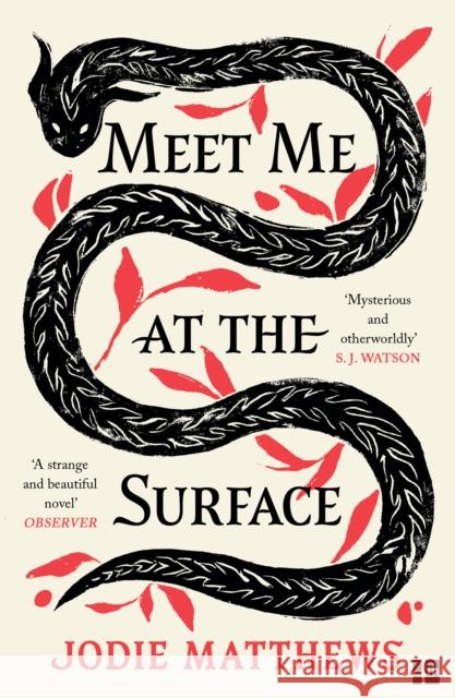 Meet Me at the Surface Jodie Matthews 9780008585051 HarperCollins Publishers - książka