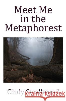 Meet Me in the Metaphorest Cindy Smallwood 9780692270189 Lunac River Press - książka