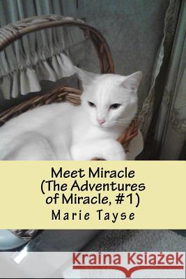 Meet Miracle: (The Adventures of Miracle, Volume 1) Tayse, Marie 9781519151971 Createspace Independent Publishing Platform - książka