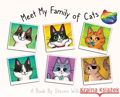 Meet My Family of Cats Steven James Williams 9781962290807 Amazon Book Marketing Pros - książka