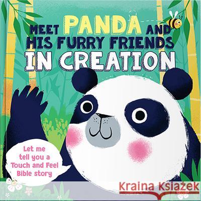 Meet Panda and His Furry Friends in Creation Compiliation 9781684083794 Dayspring - książka