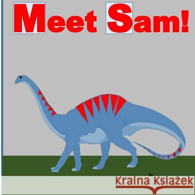 Meet Sam! Cj Smith 9781541036086 Createspace Independent Publishing Platform - książka