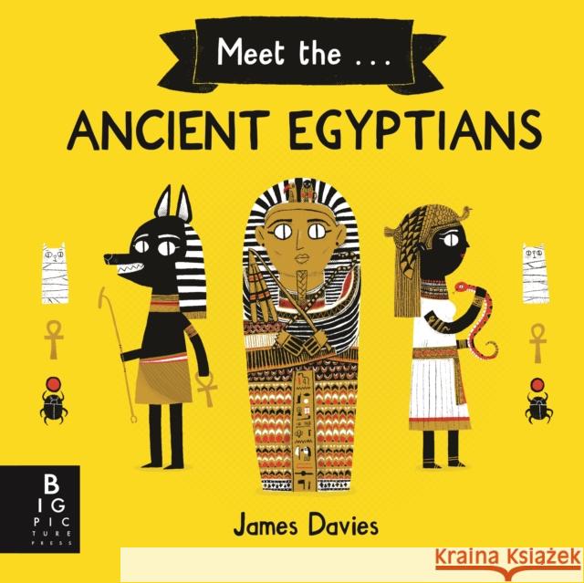 Meet the Ancient Egyptians James Davies James Davies  9781787417779 Templar Publishing - książka