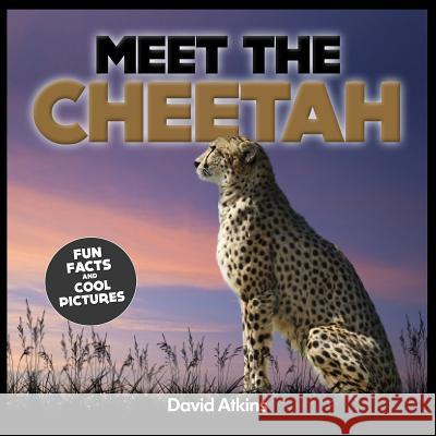 Meet The Cheetah: Fun Facts & Cool Pictures Atkins, David 9781495332234 Createspace - książka