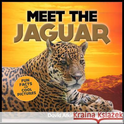 Meet The Jaguar: Fun Facts & Cool Pictures Atkins, David 9781495356476 Createspace - książka