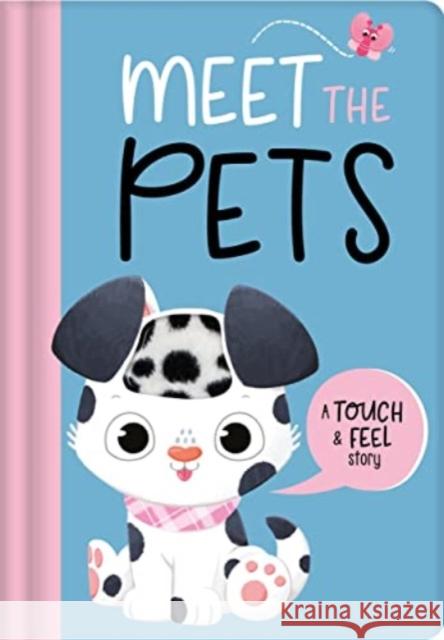 Meet The Pets Igloo Books Ltd 9781837711284 Bonnier Books Ltd - książka