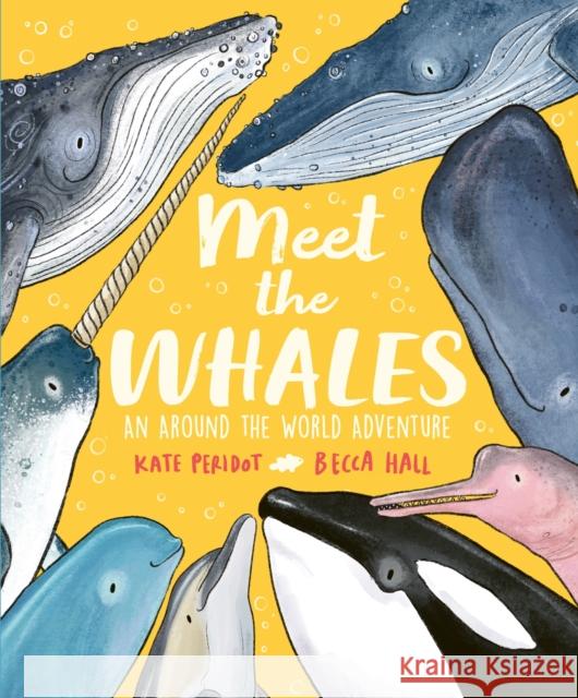 Meet the Whales Kate Peridot 9781804537060 Hachette Children's Group - książka