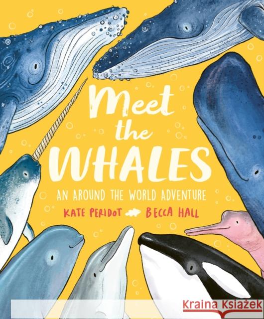 Meet the Whales Kate Peridot 9781804538319 Hachette Children's Group - książka