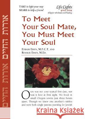 Meet Your Soul Mate, Meet Your Soul-12 Pk Jewish Lights Publishing 9781683366164 Jewish Lights Publishing - książka