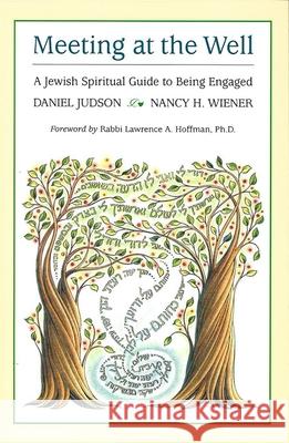 Meeting at the Well: A Jewish Spiritual Guide to Being Engaged Daniel Judson Nancy H. Wiener Dan Judson 9780807407530 Urj Press - książka