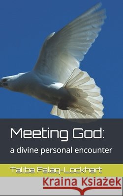 Meeting God: : a divine personal encounter Taliba D. Falaq-Lockhart 9781549585050 Independently Published - książka