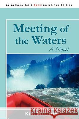 Meeting of the Waters Kim McLarin 9780595531691 iUniverse.com - książka