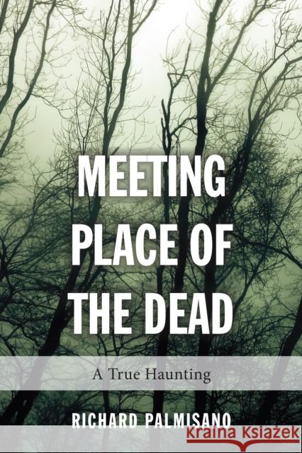 Meeting Place of the Dead: A True Haunting Palmisano, Richard 9781459728455 Dundurn Group - książka