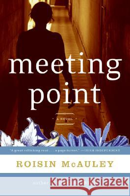 Meeting Point Roisin McAuley 9780060737917 Harper Perennial - książka