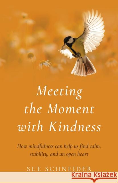 Meeting the Moment with Kindness: How mindfulness can help us find calm, stability, and an open heart Sue Schneider 9781803413280 John Hunt Publishing - książka