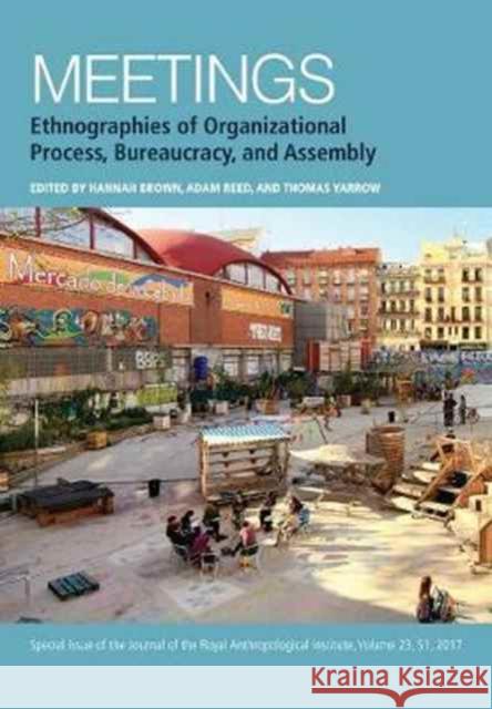 Meetings: Ethnographies of Organizational Process, Bureaucracy and Assembly Brown, Hannah 9781119405894 John Wiley & Sons - książka