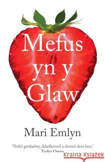 Mefus yn y Glaw Mari Emlyn 9781912173389 Gwasg y Bwthyn Cyf - książka