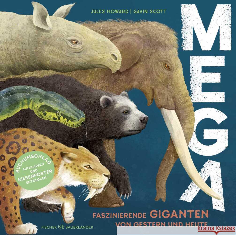 MEGA Howard, Jules 9783737374880 FISCHER Sauerländer - książka