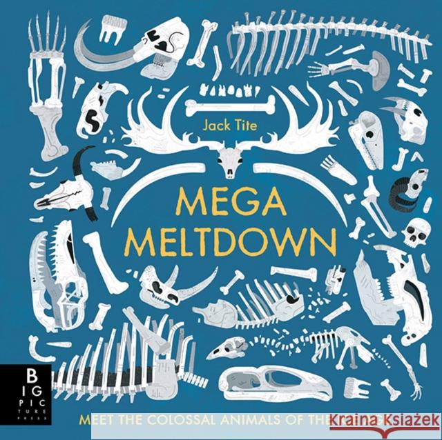 Mega Meltdown Jack Tite Jack Tite  9781783708314 Big Picture Press - książka
