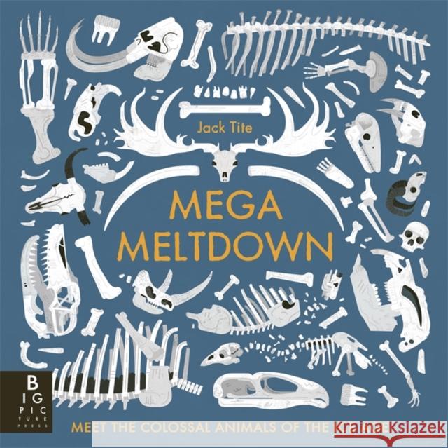 Mega Meltdown Jack Tite 9781800788022 Templar - książka