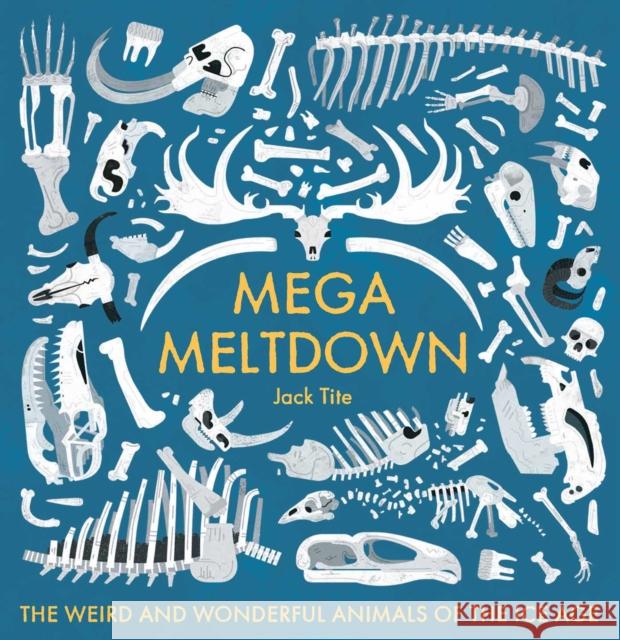 Mega Meltdown: The Weird and Wonderful Animals of the Ice Age Jack Tite 9781499807523 Blueprint Editions - książka