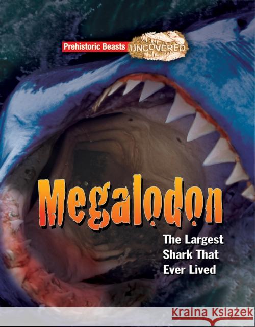 Megalodon: The Largest Shark That Ever Lived Dougal Dixon 9781911341772 Ruby Tuesday Books Ltd - książka