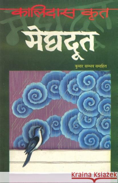 Meghdoot (मेघदूत) Kaushik, Ashok 9788171829477 Diamond Pocket Books Pvt Ltd - książka