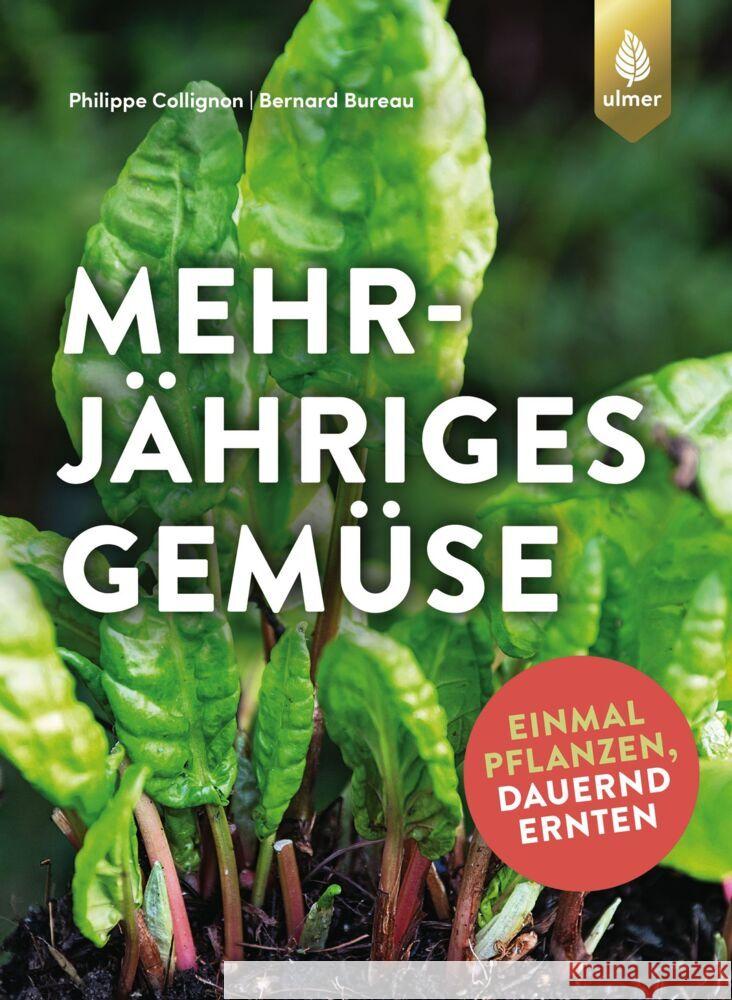 Mehrjähriges Gemüse Collignon, Philippe, Bureau, Bernard 9783818612818 Verlag Eugen Ulmer - książka