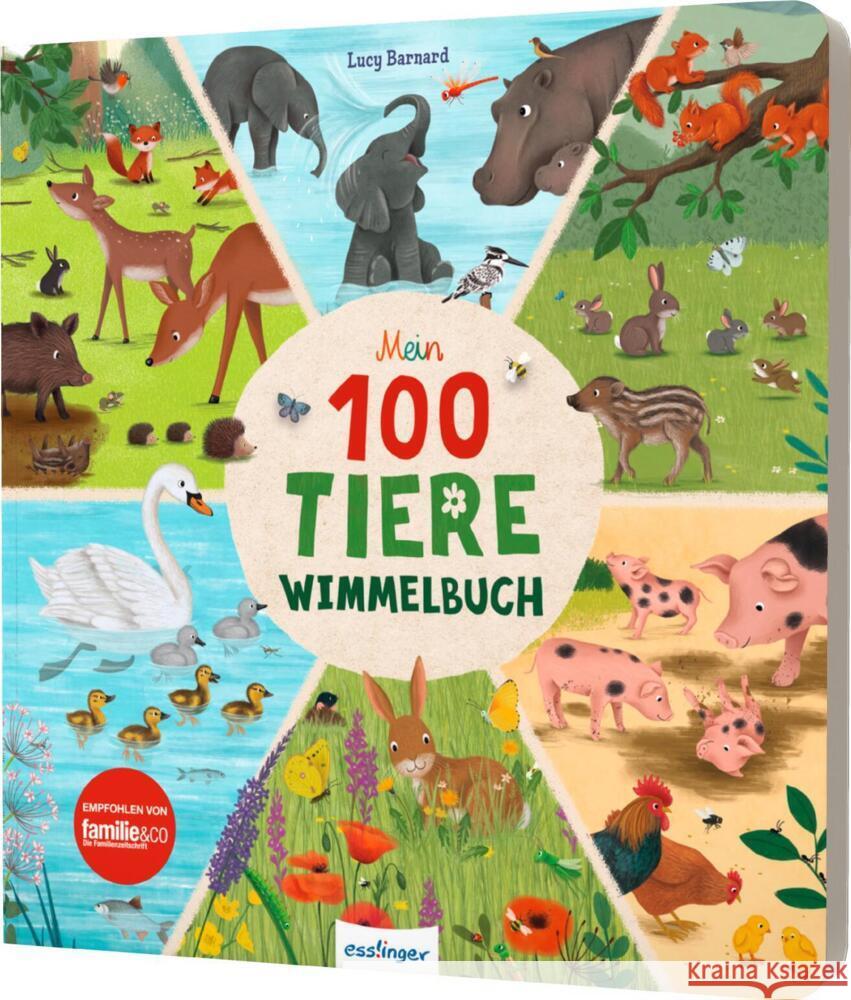 Mein 100 Tiere-Wimmelbuch Schumann, Sibylle, Lotz, Katharina 9783480239467 Esslinger in der Thienemann-Esslinger Verlag  - książka