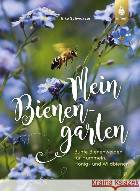 Mein Bienengarten : Bunte Bienenweiden für Hummeln, Honig- und Wildbienen Schwarzer, Elke 9783818609481 Verlag Eugen Ulmer - książka