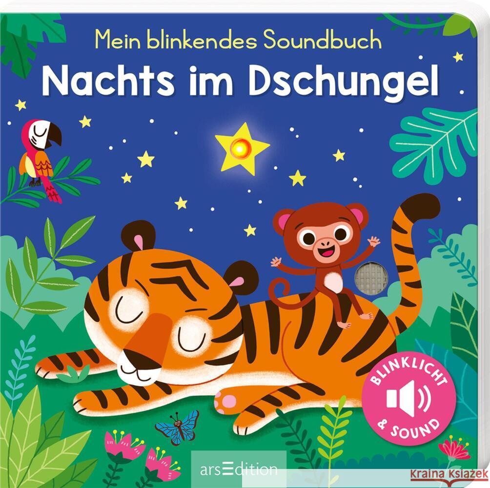 Mein blinkendes Soundbuch - Nachts im Dschungel Höck, Maria 9783845861746 ars edition - książka