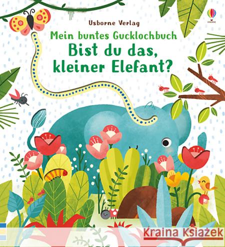 Mein buntes Gucklochbuch: Bist du das, kleiner Elefant? Taplin, Sam 9781782327684 Usborne Verlag - książka