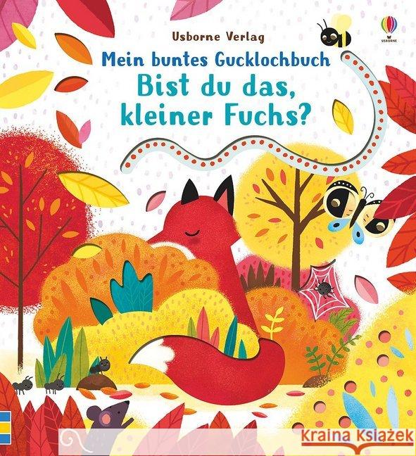 Mein buntes Gucklochbuch: Bist du das, kleiner Fuchs? Taplin, Sam 9781782328759 Usborne Verlag - książka