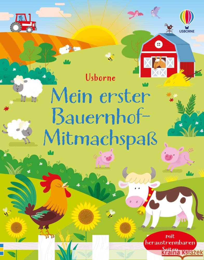 Mein erster Bauernhof-Mitmachspaß Robson, Kirsteen 9781789417890 Usborne Verlag - książka