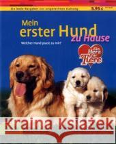 Mein erster Hund zu Hause : Welcher Hund passt zu mir? Kieselbach, Dominik Francais, Isabelle  9783898601764 Bede - książka
