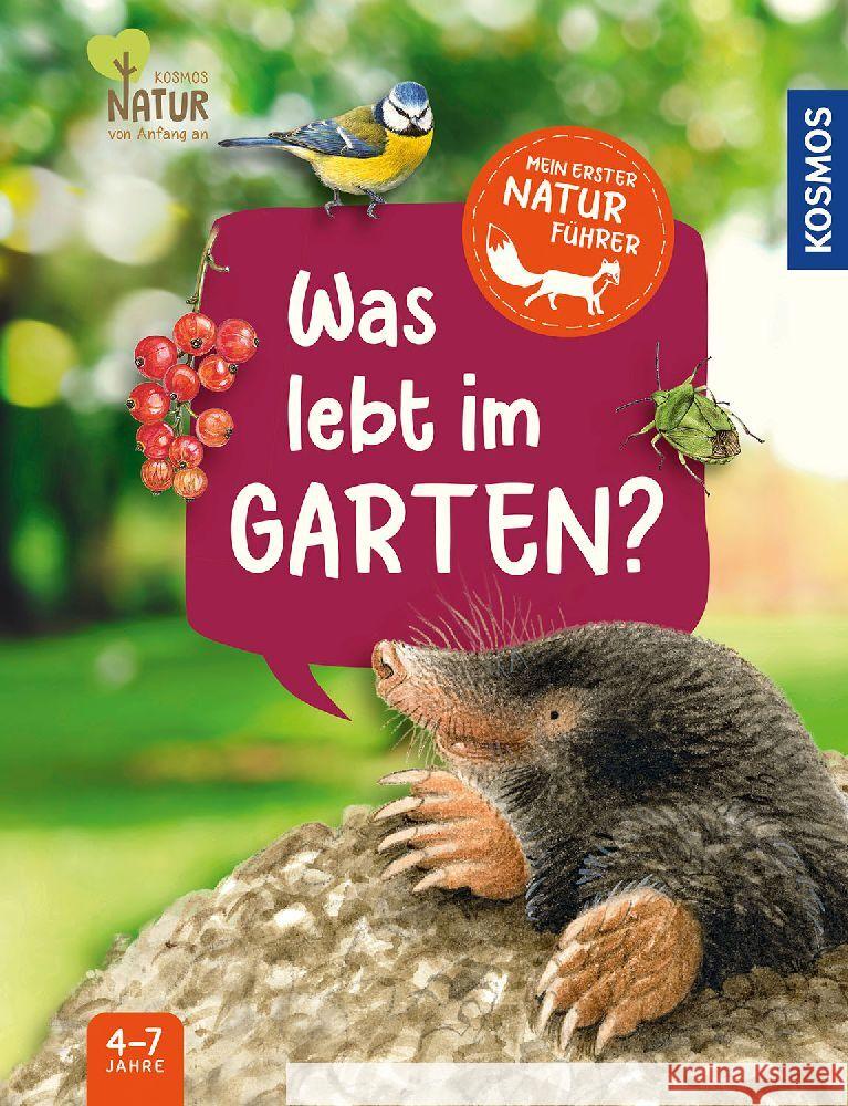Mein erster Naturführer Was lebt im Garten? Hiller, Julia 9783440179468 Kosmos (Franckh-Kosmos) - książka