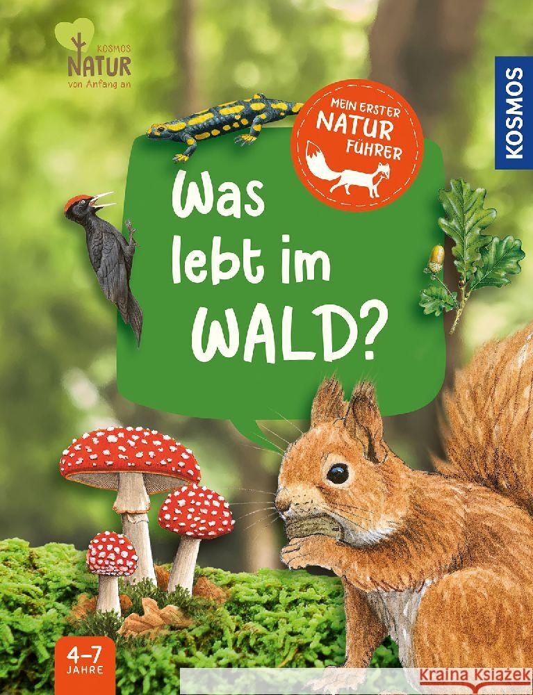 Mein erster Naturführer, Was lebt im Wald? Hiller, Julia, Walentowitz, Steffen 9783440178072 Kosmos (Franckh-Kosmos) - książka