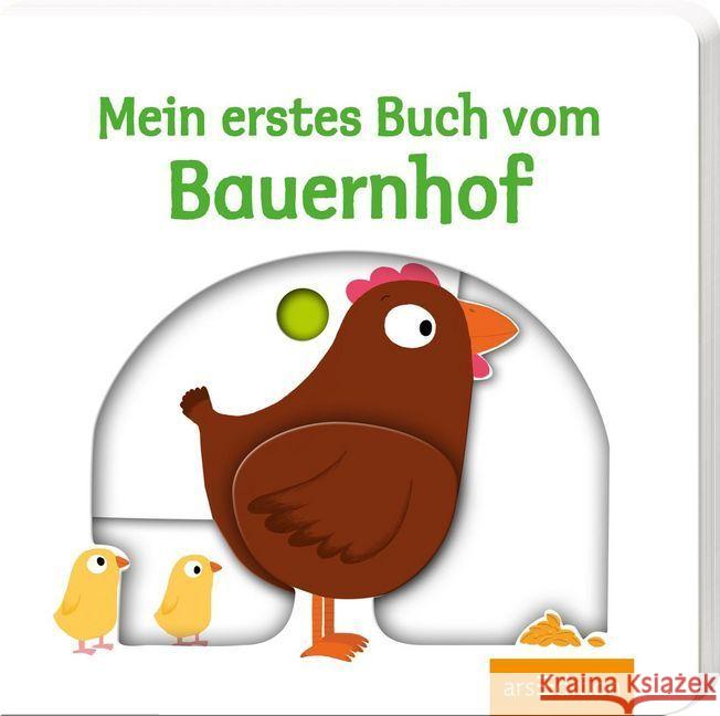 Mein erstes Buch vom Bauernhof Choux, Nathalie 9783760798554 ars edition - książka