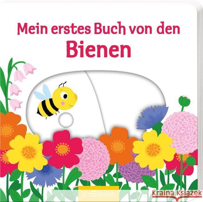 Mein erstes Buch von den Bienen  9783845836713 ars edition - książka
