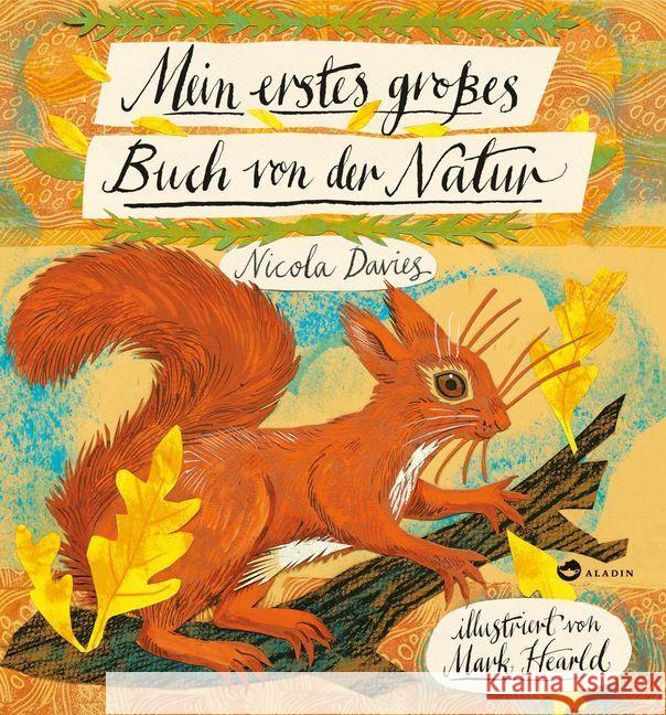 Mein erstes großes Buch von der Natur Davies, Nicola 9783848900060 Aladin - książka