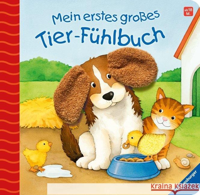 Mein erstes großes Tier-Fühlbuch Grimm, Sandra; Neubacher-Fesser, Monika 9783473432998 Ravensburger Buchverlag - książka