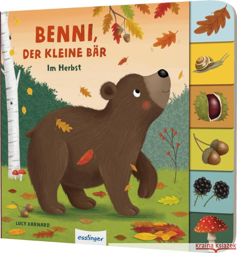 Mein erstes Jahreszeitenbuch: Benni, der kleine Bär Kiel, Anja 9783480238200 Esslinger in der Thienemann-Esslinger Verlag  - książka