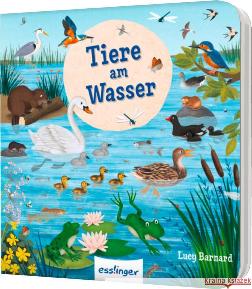 Mein erstes Natur-Wimmelbuch Schumann, Sibylle 9783480239825 Esslinger in der Thienemann-Esslinger Verlag  - książka