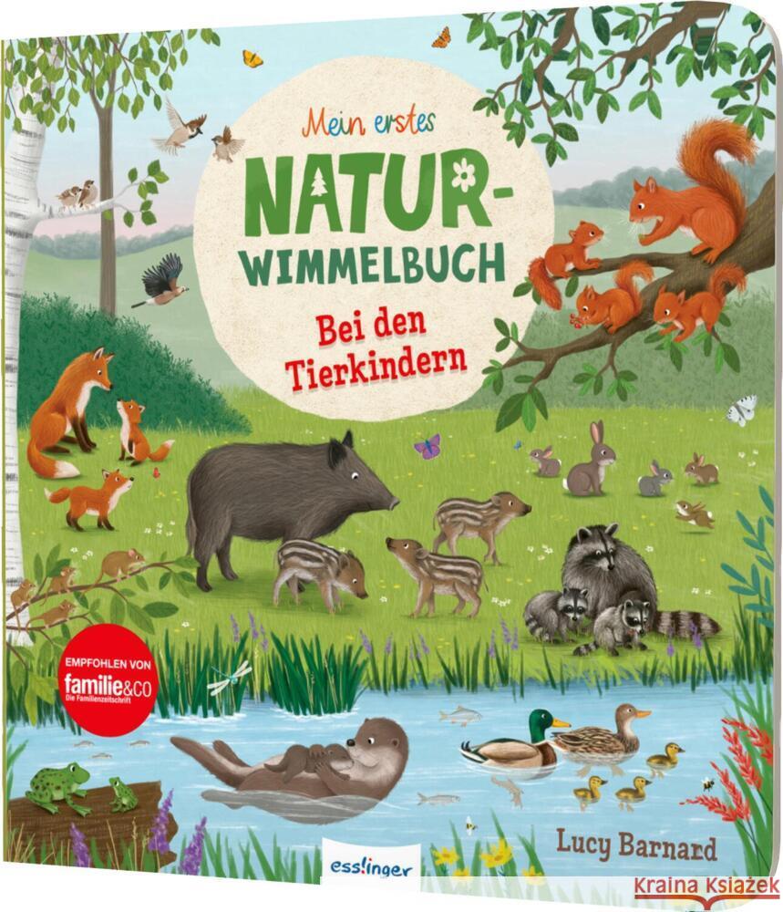 Mein erstes Natur-Wimmelbuch: Bei den Tierkindern Schumann, Sibylle 9783480238446 Esslinger in der Thienemann-Esslinger Verlag  - książka