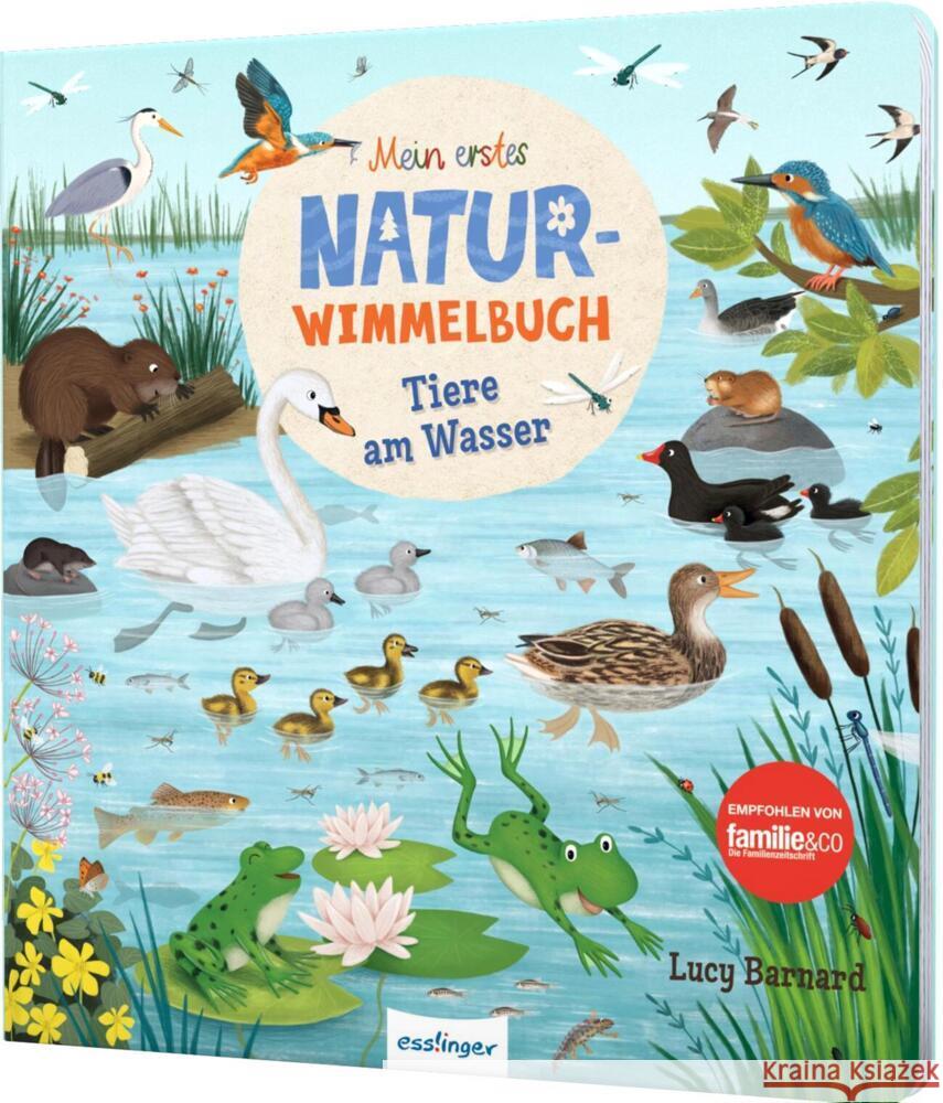 Mein erstes Natur-Wimmelbuch: Tiere am Wasser Schumann, Sibylle 9783480237968 Esslinger in der Thienemann-Esslinger Verlag  - książka