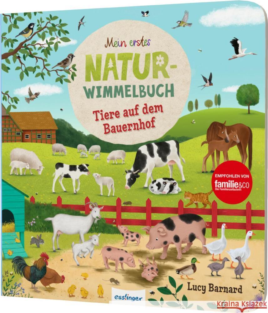 Mein erstes Natur-Wimmelbuch: Tiere auf dem Bauernhof Schumann, Sibylle 9783480238613 Esslinger in der Thienemann-Esslinger Verlag  - książka